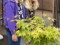 DSCN0384 DSCN0384