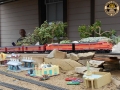 DSCN0408 DSCN0408