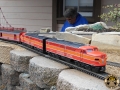 DSCN0431 DSCN0431