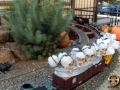 Halloween2013-JB-42