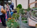 slhrsspring2011-16
