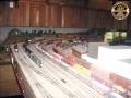 cps1_dsci0004